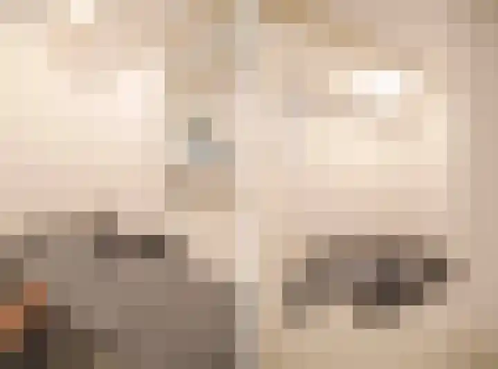 Twijnen 35 Oudewater thumbnail 38