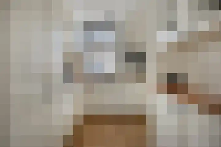 Twijnen 35 Oudewater thumbnail 4