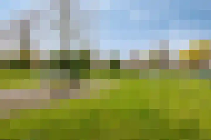 Twijnen 35 Oudewater thumbnail 46