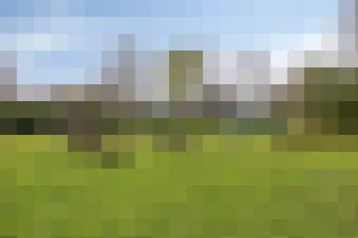 Twijnen 35 Oudewater thumbnail 47