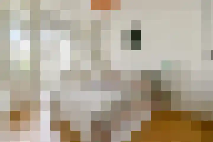 Twijnen 35 Oudewater thumbnail 48