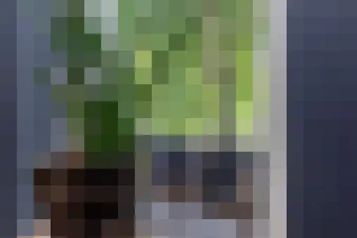 Twijnen 60 Oudewater thumbnail 11