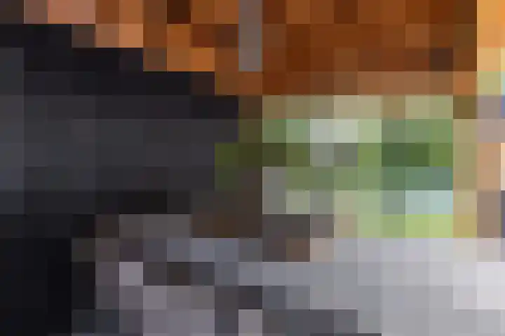 Twijnen 60 Oudewater thumbnail 48