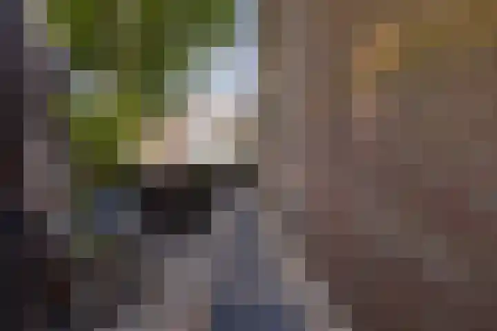 Twijnen 60 Oudewater thumbnail 54