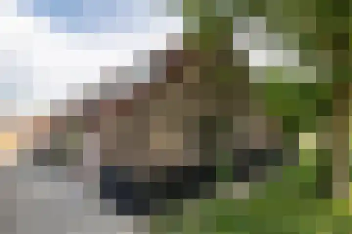 Twijnen 60 Oudewater thumbnail 58