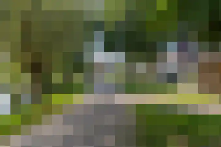 Twijnen 60 Oudewater thumbnail 59