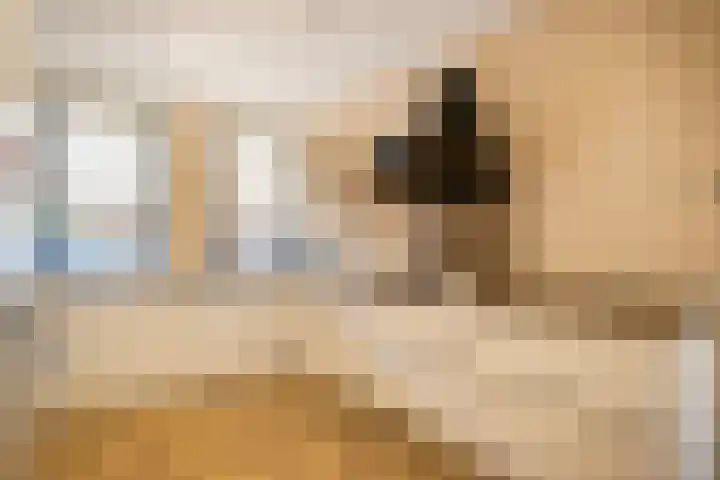 Twijnerij 8 Ede thumbnail 12