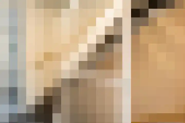 Twijnerij 8 Ede thumbnail 13