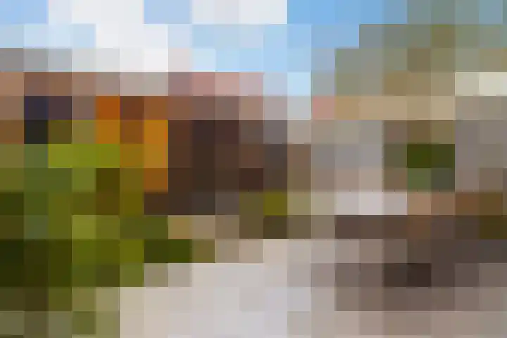 Twijnerij 8 Ede thumbnail 29