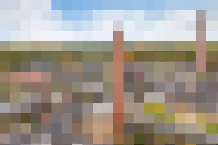 Twijnerij 8 Ede thumbnail 34