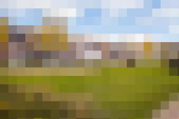 Twijnerij 8 Ede thumbnail 37