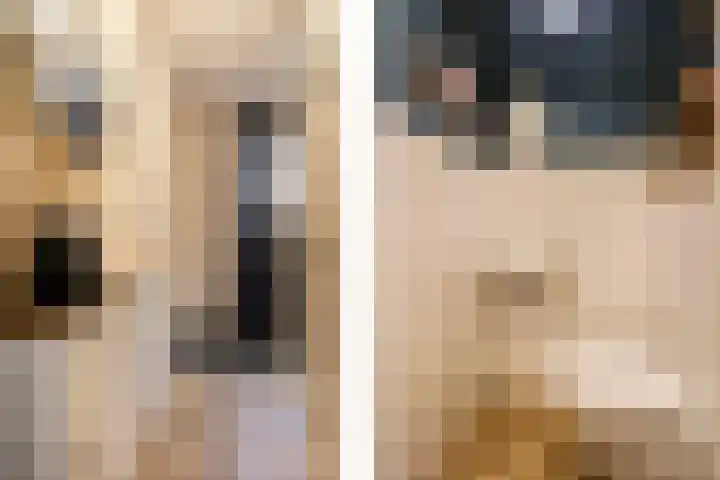 Twijnerij 8 Ede thumbnail 4