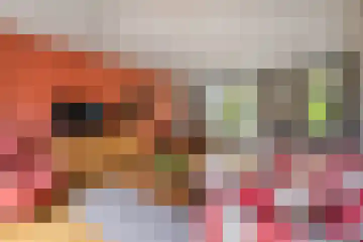 Twijnmeer 3 Gemonde thumbnail 11