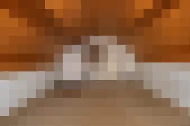 Twijnmeer 3 Gemonde thumbnail 21