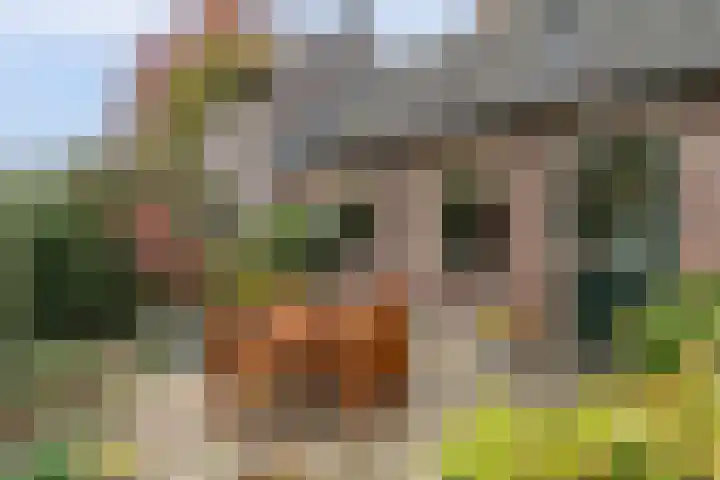 Twijnmeer 3 Gemonde thumbnail 23