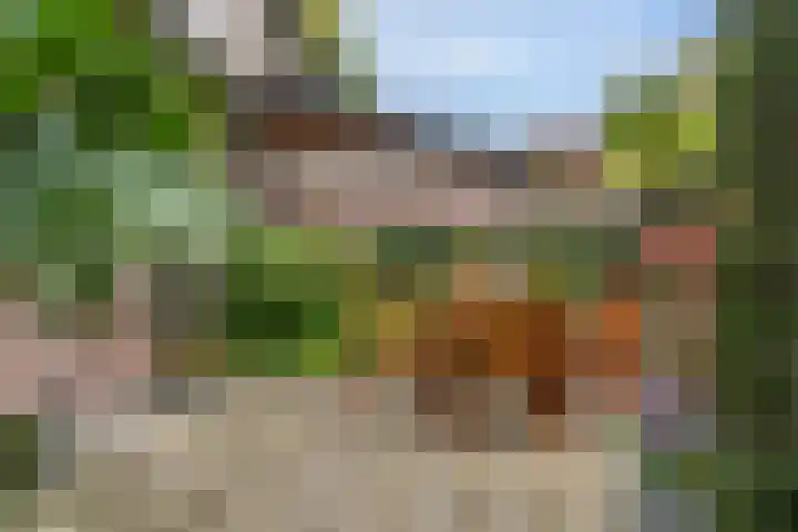Twijnmeer 3 Gemonde thumbnail 25