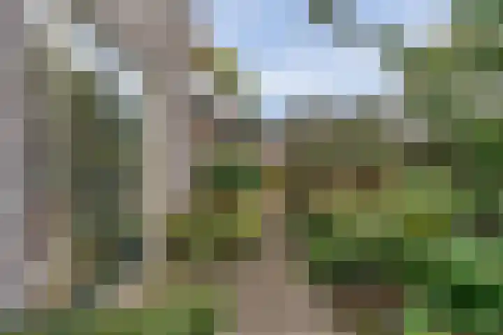 Twijnmeer 3 Gemonde thumbnail 26