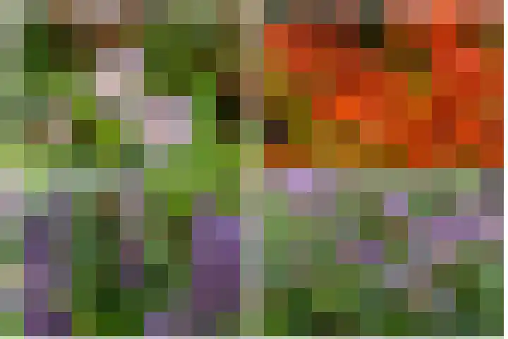Twijnmeer 3 Gemonde thumbnail 28