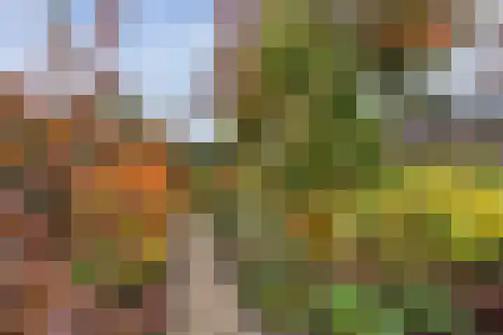 Twijnmeer 3 Gemonde thumbnail 35