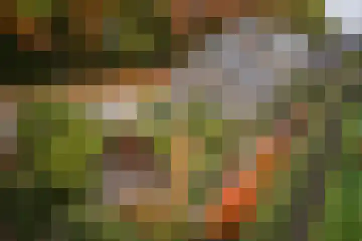 Twijnmeer 3 Gemonde thumbnail 36