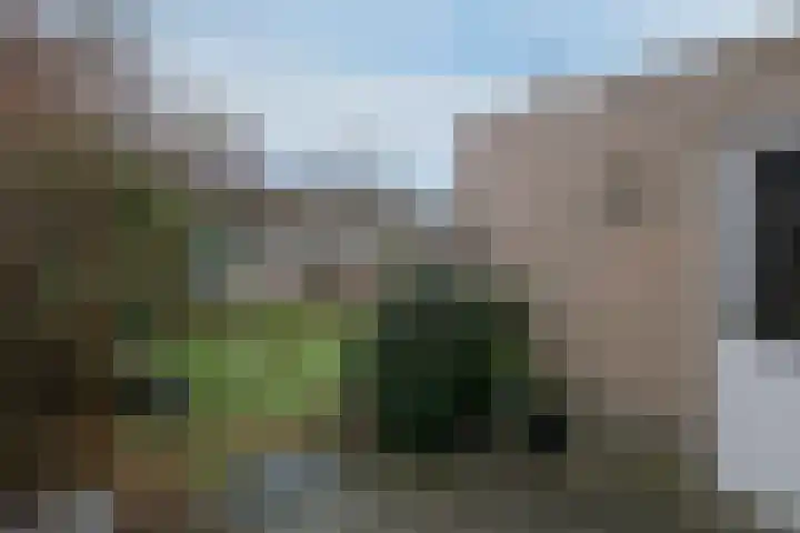 Twijnspil 19 Wierden thumbnail 29