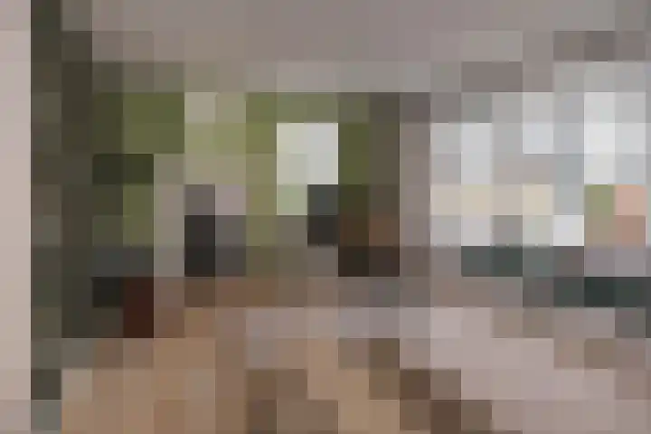 Twijnspil 19 Wierden thumbnail 5