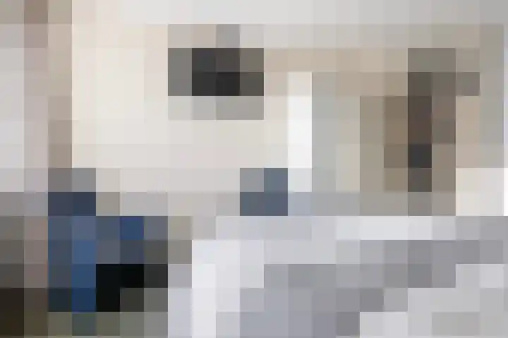 Twijnspil 40 Wierden thumbnail 29