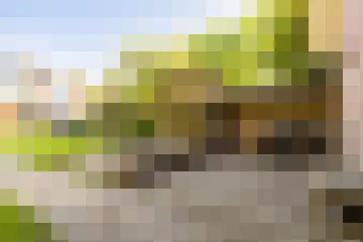 Twijnstraat 20 Ede thumbnail 39