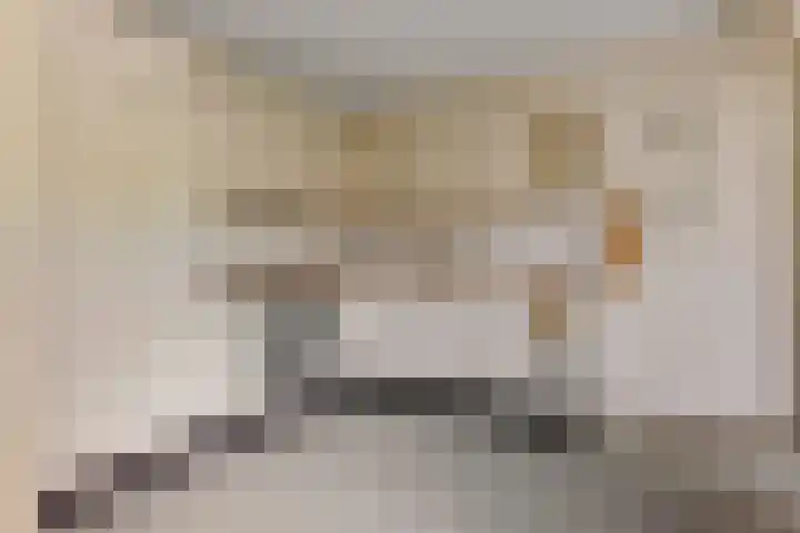 Tymanshof 13 Assen thumbnail 12