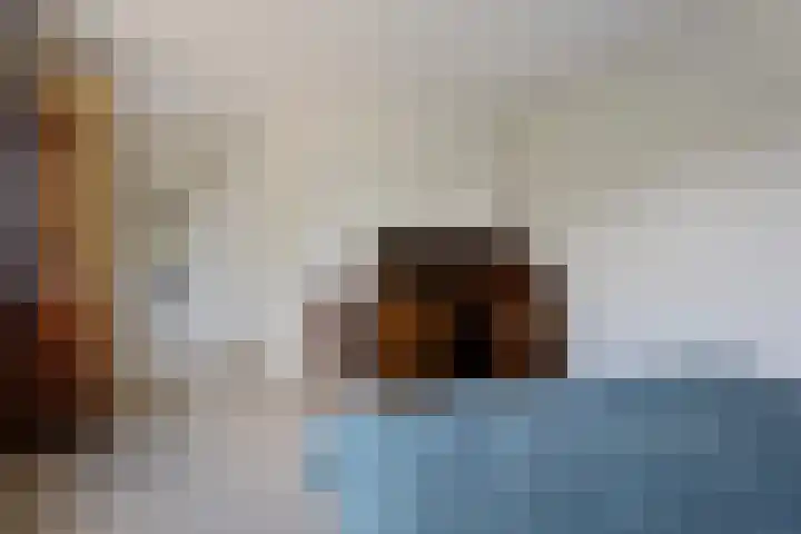 Tymanshof 13 Assen thumbnail 15