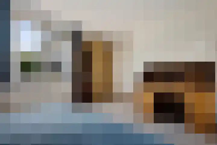 Tymanshof 13 Assen thumbnail 16