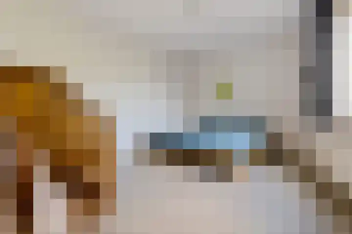 Tymanshof 13 Assen thumbnail 17
