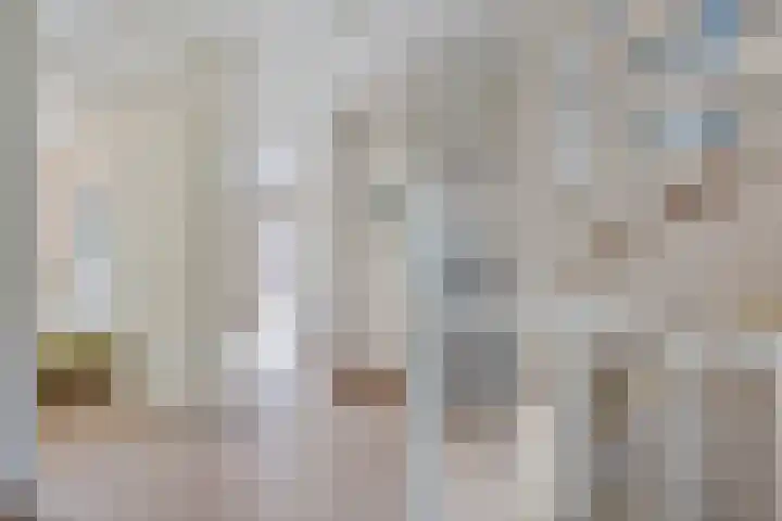 Tymanshof 13 Assen thumbnail 22