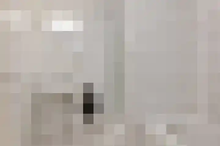 Tymanshof 13 Assen thumbnail 31