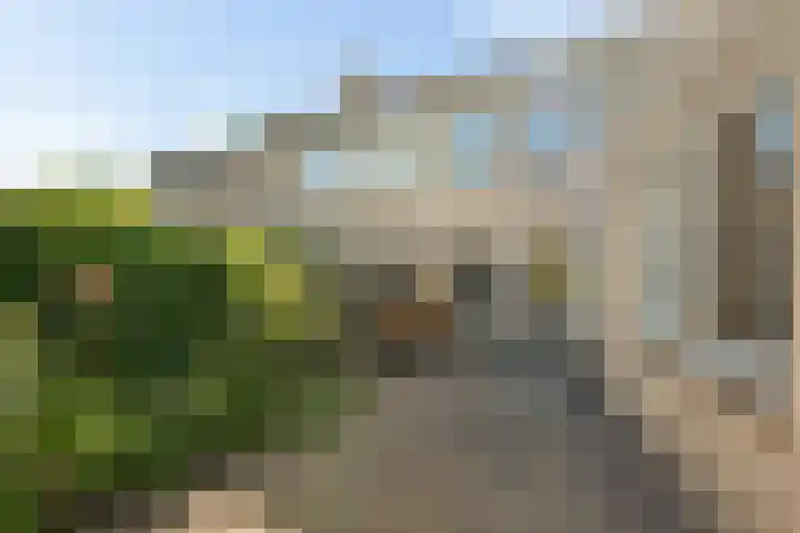 Tymanshof 13 Assen thumbnail 34