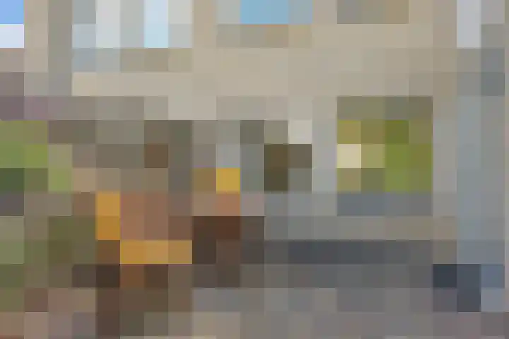 Tymanshof 13 Assen thumbnail 36