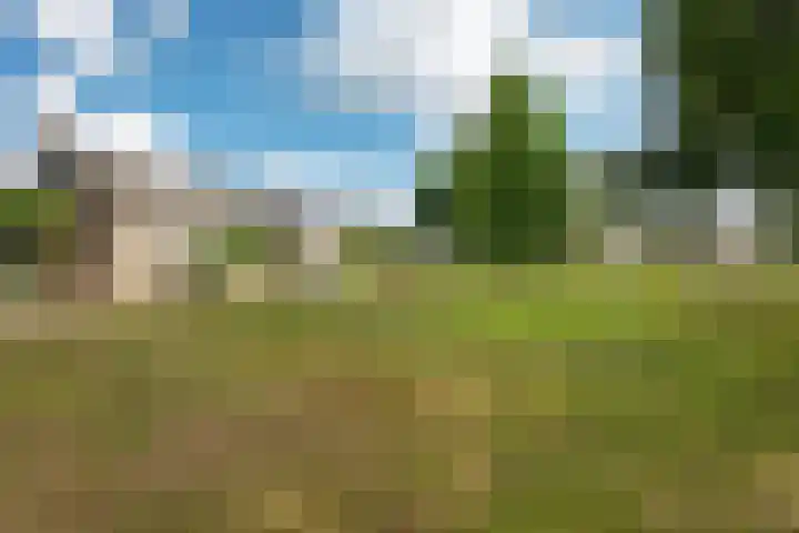 Tymanshof 13 Assen thumbnail 40