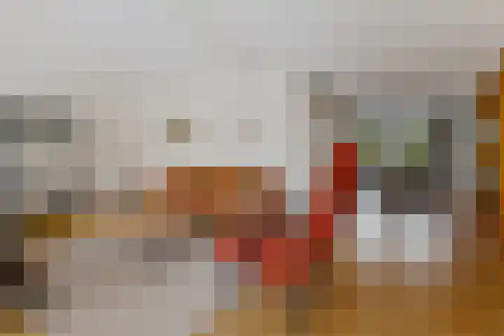 Tymanshof 13 Assen thumbnail 5