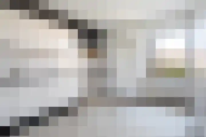 Tywert 18 Wommels thumbnail 13