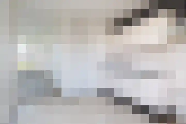 Tywert 18 Wommels thumbnail 14