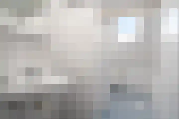 Tywert 18 Wommels thumbnail 31
