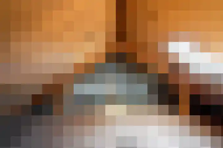 Tywert 18 Wommels thumbnail 34