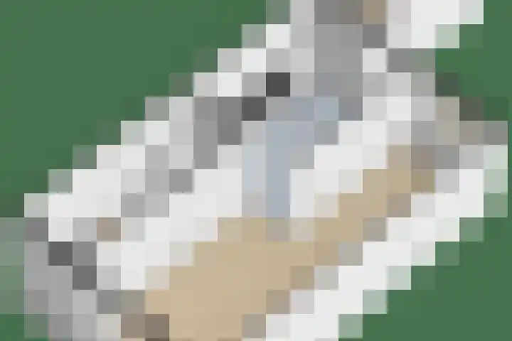 Tywert 18 Wommels thumbnail 36