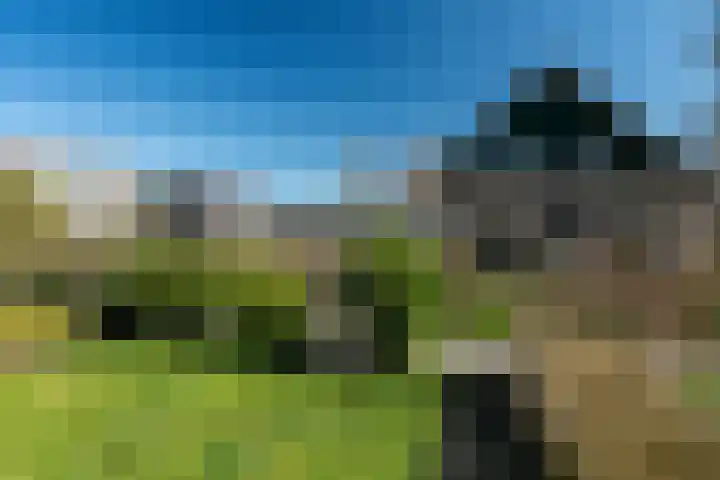 Tywert 18 Wommels thumbnail 5