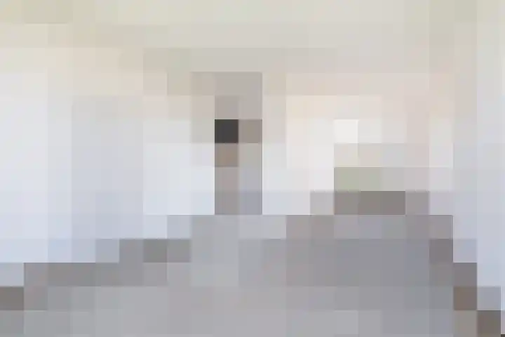 Tywert 18 Wommels thumbnail 9