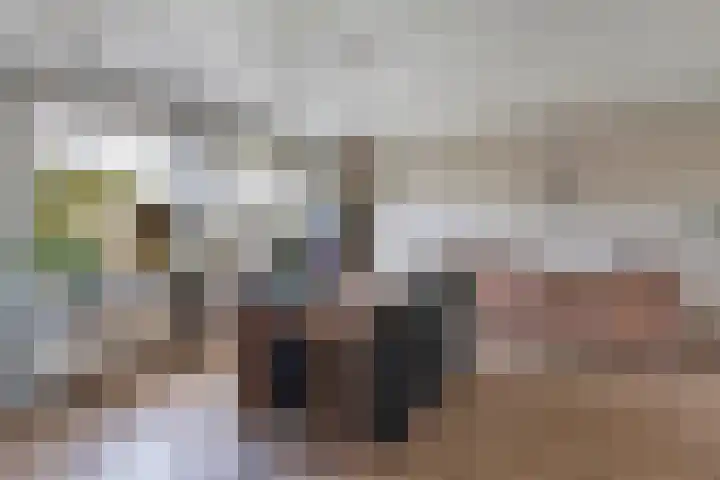 Tywert 24 Wommels thumbnail 16