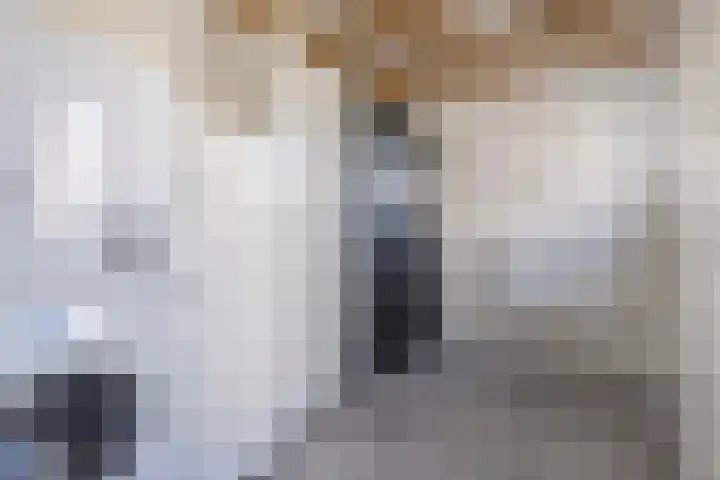 Tywert 24 Wommels thumbnail 20