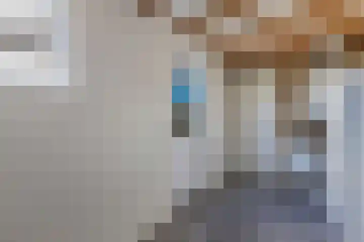 Tywert 24 Wommels thumbnail 21