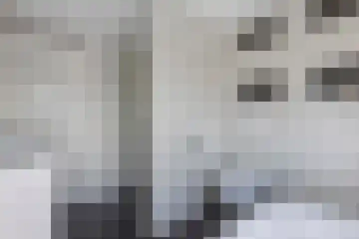 Tywert 24 Wommels thumbnail 31