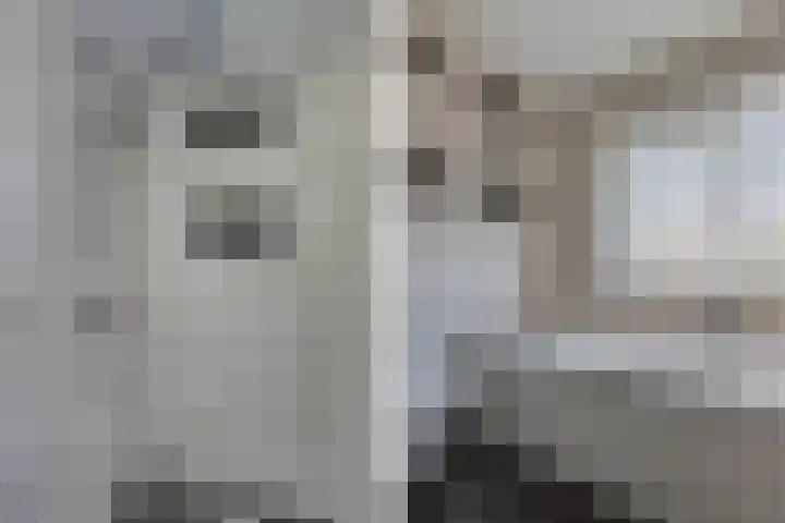 Tywert 24 Wommels thumbnail 32